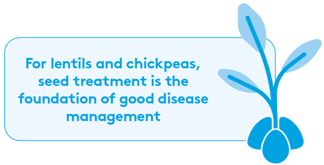 Seed treatments for lentils and chickpeas.png