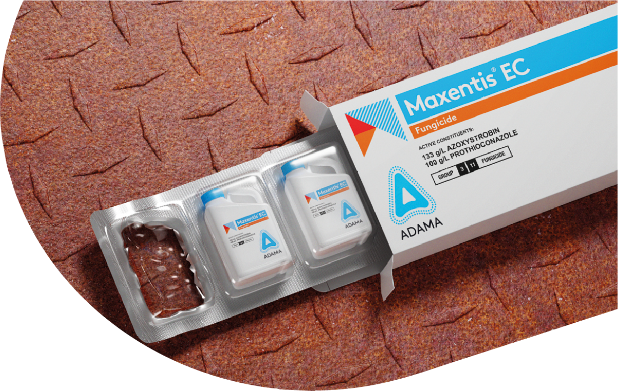 Maxentis hero shot