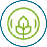 Flexible timing icon