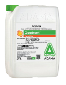 Quadrant packshot