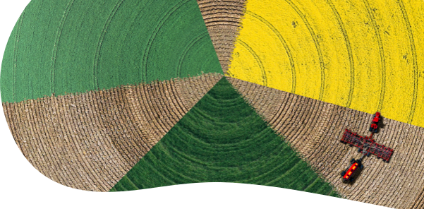 Priority field