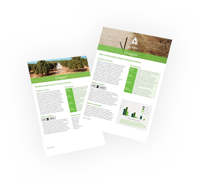 Pdf-Floating-Posters-Template