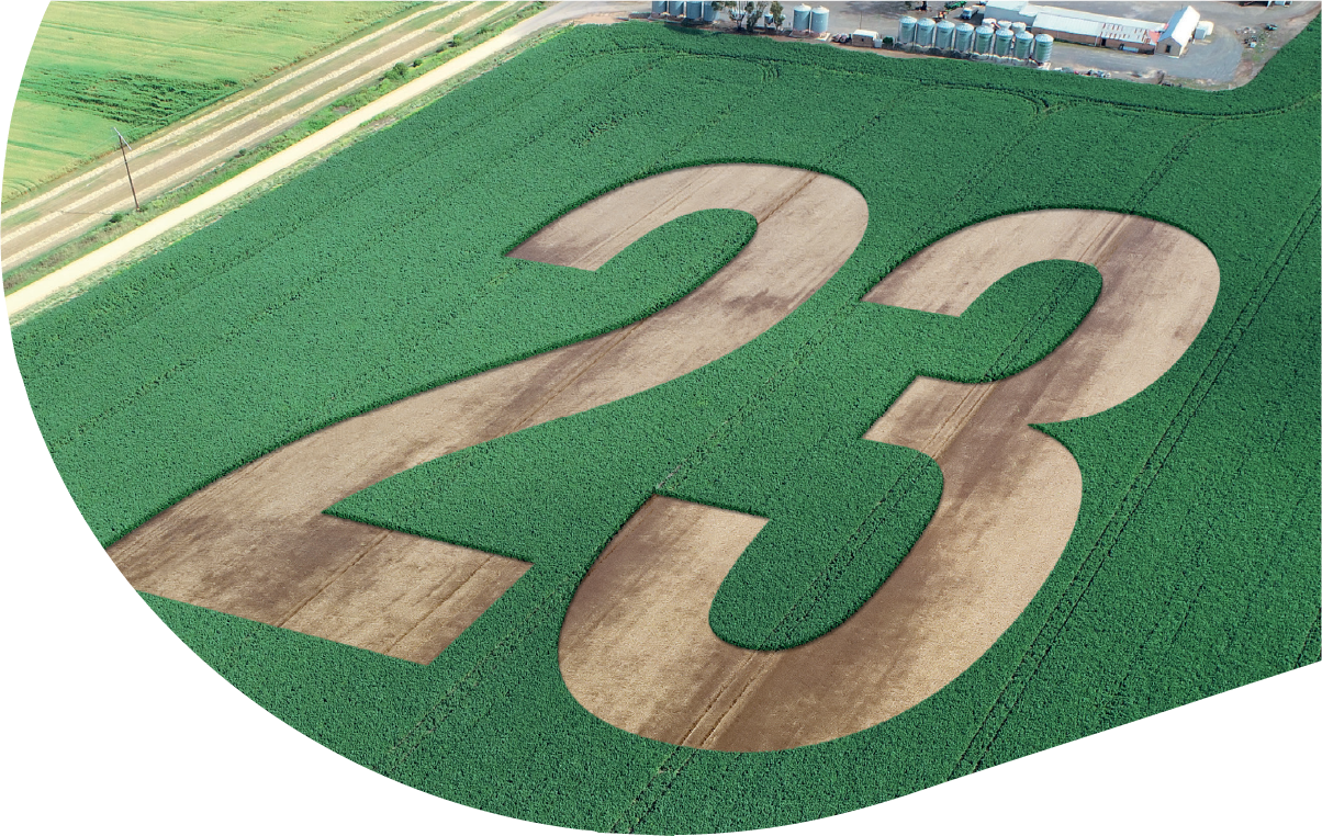 Field with number 23