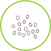 Registered pulses icon