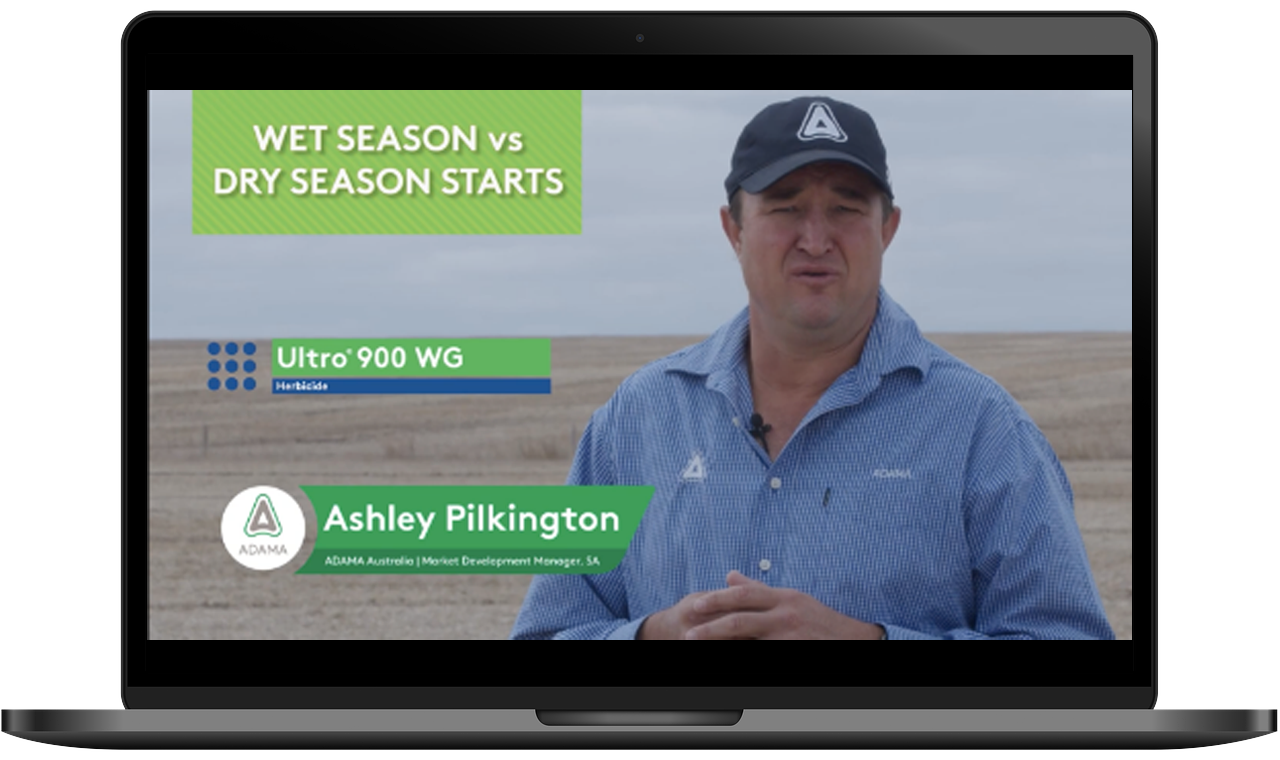 Image of Ultro video screen